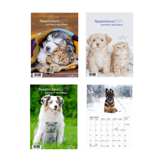 Picture of SPIRAL WALL CALENDAR KITTENS-DOGS 21X29 2025