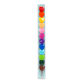 Picture of 12 in 1 Stackable Crayons - Dream in Colour Legami